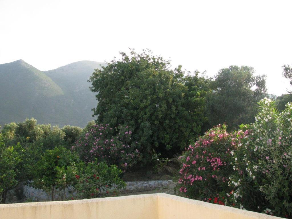 Skoutari Beach Hotel Habitación foto